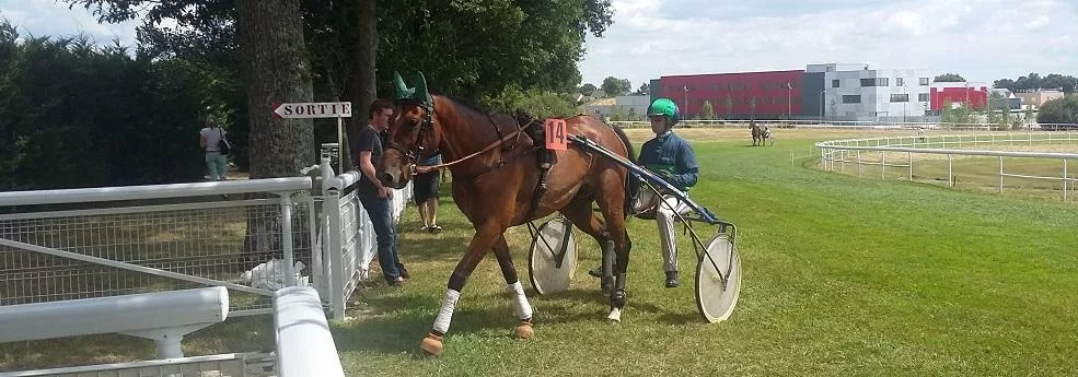 Prix de Croix - course pmu du samedi 14 janvier 2017