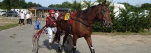 Prix de Rânes - course pmu du vendredi 13 janvier 2017