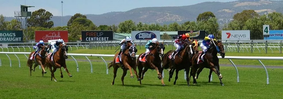 Prix Charles Gastaud - course pmu du vendredi 20 janvier 2017