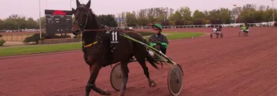 Prix d'Olargues - course pmu du vendredi 10 février 2017