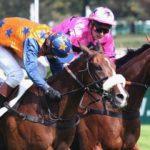 Prix Prédicateur - course pmu du 18 mars 2017