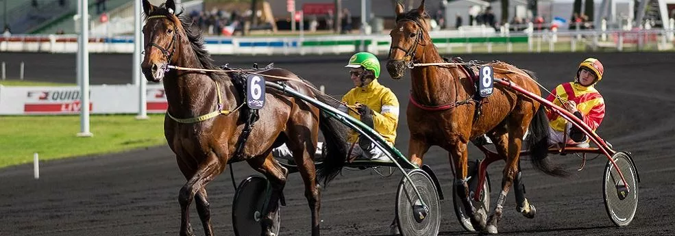 Prix Jean cabrol - course pmu du 25 mars 2017