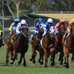 Prix du Petit Château - course pmu du 22 mai 2017