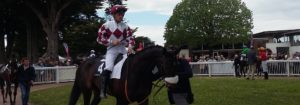 Prix du Musée Vivant du Cheval - course pmu du 28 mai 2017