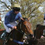Prix Hardatit - Course pmu du 11 juin 2017