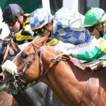 Prix du Mandinet - course pmu du 15 juin 2017
