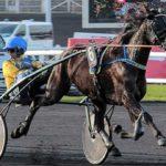 Prix de Cognat-Lyonne - course pmu du 19 juin 2017