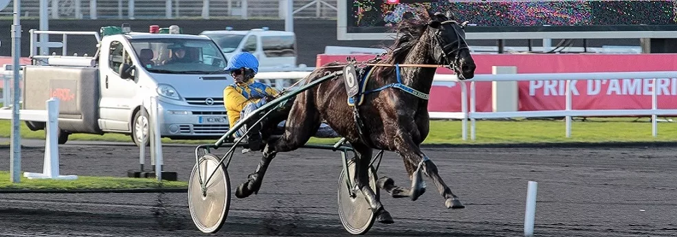 Prix de Cognat-Lyonne - course pmu du 19 juin 2017