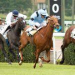 Prix des Bords de l'Oise - course pmu du 24 juin 2017