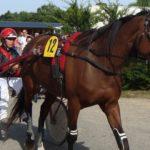 Prix Bertrand Deloison - course pmu du 25 juin 2017