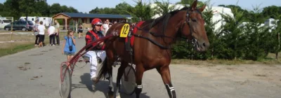 Prix Bertrand Deloison - course pmu du 25 juin 2017