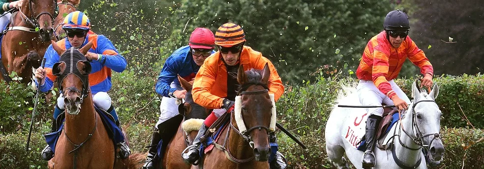 Prix Région Normandie - course pmu du 20 juin 2017