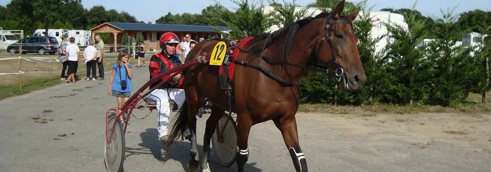 Prix Henri Ballière - course pmu du 28 juillet 2017