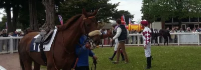 Prix du Haras Viejo Miolino - course pmu du 6 aout 2017