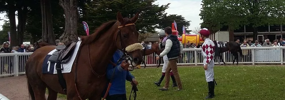 Prix de Picardie - course pmu du 15 octobre 2017