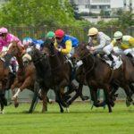Prix du Rhin - course pmu du 1er novembre 2017