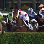 Prix Marc Antony - Course pmu du 12 novembre 2017