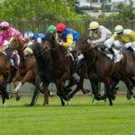 Prix des Belles de la cote - course pmu du 26 décembre 2017