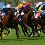 Handicap de Marseille - course pmu du 30 octobre 2017