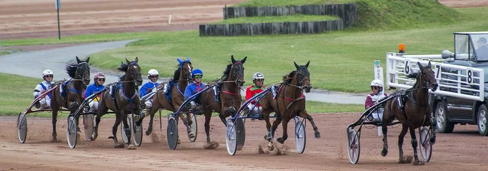 Prix de la Côte d'Azur - Course pmu du 11 janvier 2018
