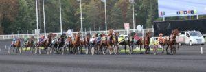 Prix du Chesnay - course pmu du 20 fevrier 2018
