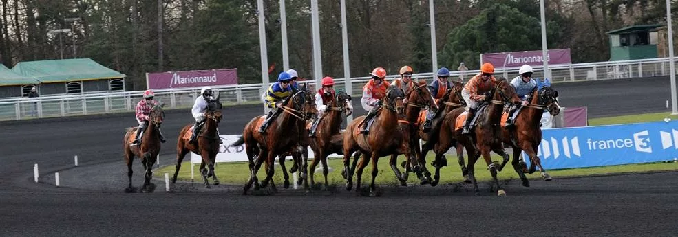 Prix de Cornulier - Course pmu du 21 janvier 2018