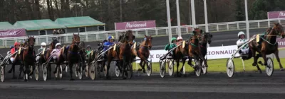Prix Bold Eagle - Crack des Cracks 2017 - course pmu du 7 janvier 2018