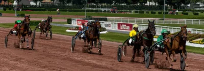 Prix de Saint-Pierre la Cour - course pmu du 23 février 2018