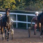 Prix de Barcelone - course pmu du 16 février 2018