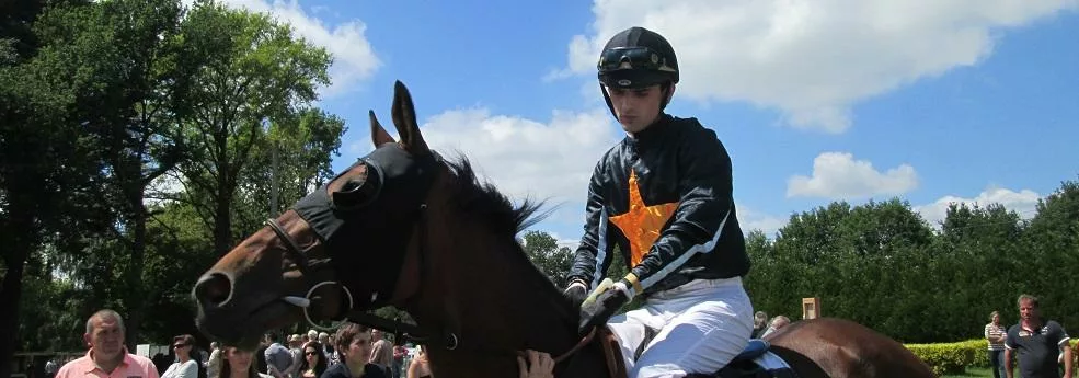 Prix de provence - course pmu du 11 mars 2018