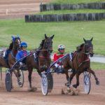 Grand Prix du Conseil Général de la Mayenne - course pmu du 14 mars 2018