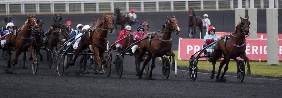 Prix du Crépuscule - course pmu du 25 mai 2018