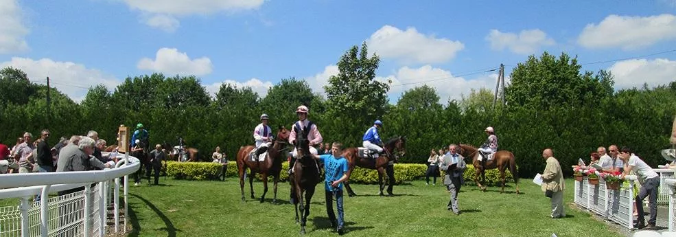 Prix de l'Orangerie - course pmu du 14 juin 2018