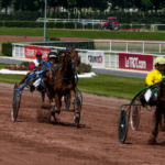 Prix du Parc des Princes - course pmu du 1 aout 2018