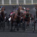 Prix d'Argentan - course pmu du 12 novembre 2018