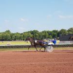 Grand Prix Dynavena Maisagri Duran - course pmu du 13 novembre 2018