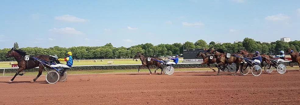 Grand Prix Dynavena Maisagri Duran - course pmu du 13 novembre 2018