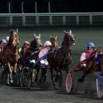 Prix Mizar - course pmu du 16 novembre 2018