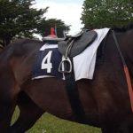 Prix Céréaliste - course pmu du 1er novembre 2018