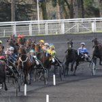 Prix de Bagnoles de l'Orne - course pmu du 24 novembre 2018