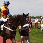 Prix Jean Laumain - course pmu du 25 novembre 2018