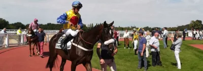 Prix Jean Laumain - course pmu du 25 novembre 2018
