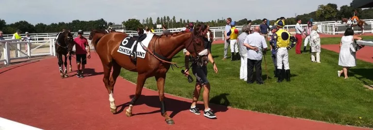 Prix santo Pietro - course pmu du 25 octobre 2018