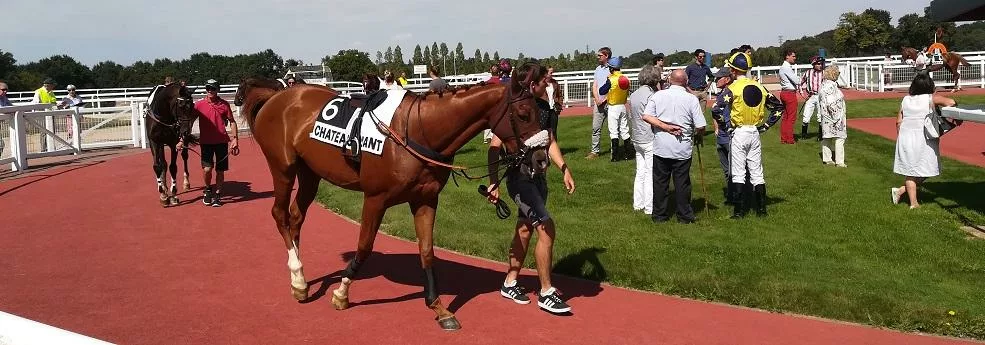 Prix santo Pietro - course pmu du 25 octobre 2018