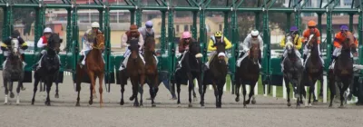 Prix du pays de Bray - course pmu du 27 novembre 2018