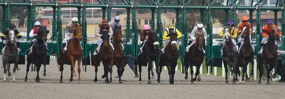 Prix du pays de Bray - course pmu du 27 novembre 2018