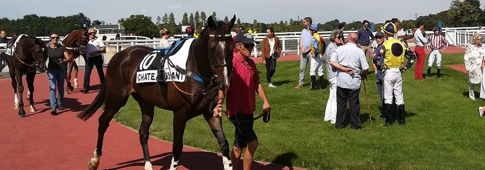 Handicap de Marseille - course pmu du 29 octobre 2018