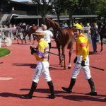 Prix Cacao - course pmu du 3 novembre 2018