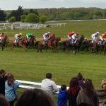 Prix du Nabob - course pmu du 30 octobre 2018
