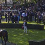 Prix Count Schomberg - course pmu du 4 novembre 2018